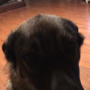 Meet your Posher, Taylor biggs